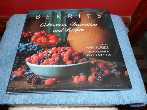 Berries cultivation decoration - berries,